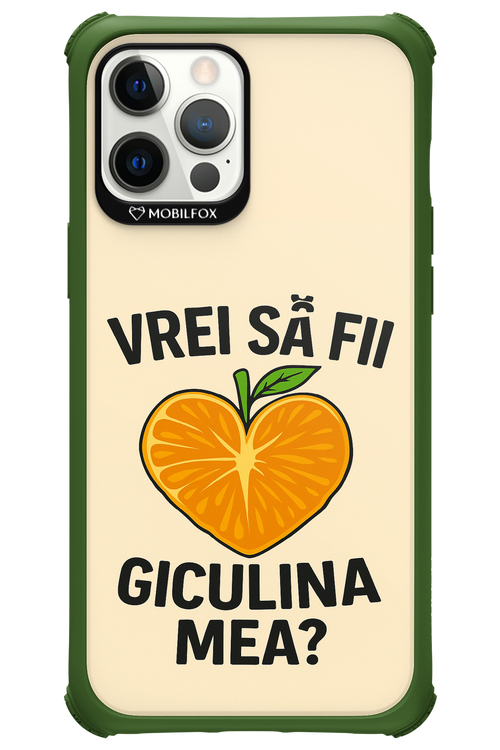 Design Clean 2.0 - Apple iPhone 12 Pro Max