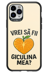 Design Clean 2.0 - Apple iPhone 11 Pro