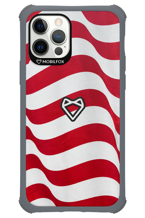 USA 2.0 - Apple iPhone 12 Pro