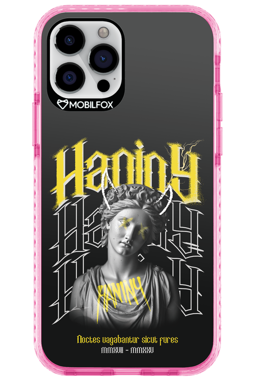 Haniny Icon (black) - Apple iPhone 12 Pro