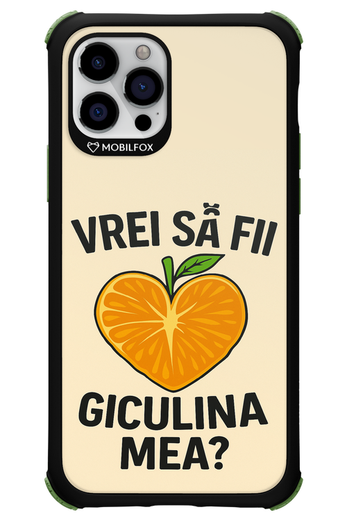 Design Clean 2.0 - Apple iPhone 12 Pro