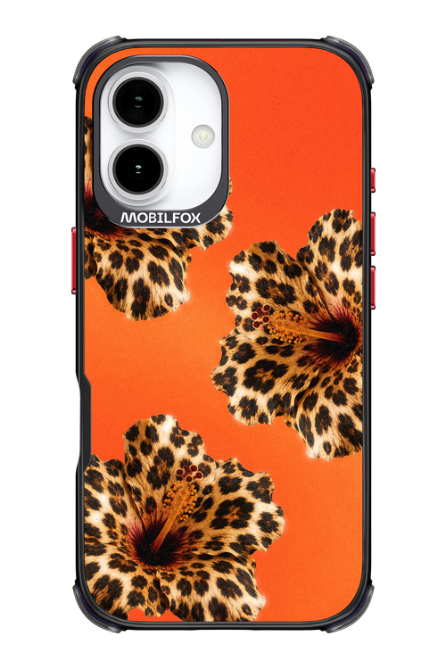 Sun Purr 2.0 - Apple iPhone 17