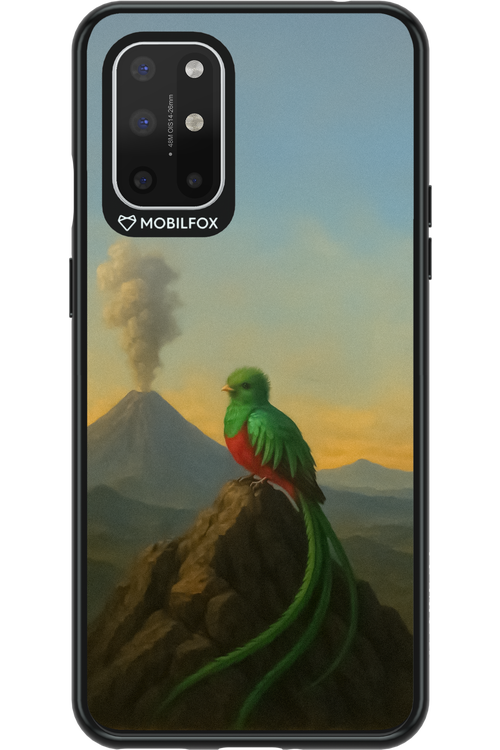 Birdy 2.0 - OnePlus 8T