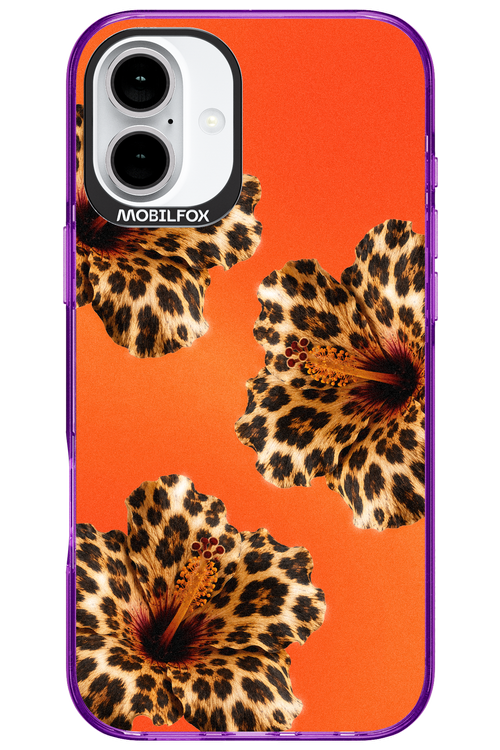Sun Purr 2.0 - Apple iPhone 16 Plus