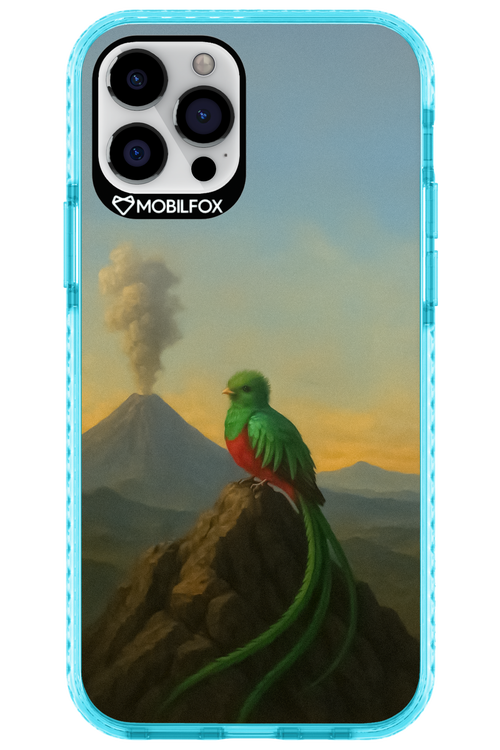 Birdy 2.0 - Apple iPhone 12 Pro