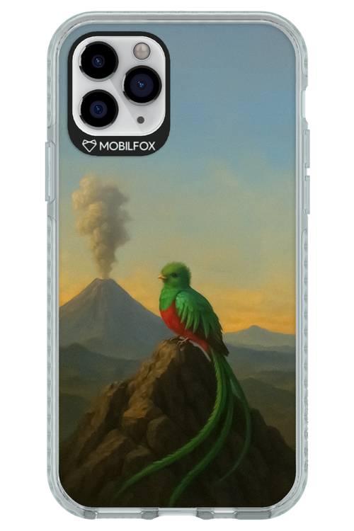 Birdy 2.0 - Apple iPhone 11 Pro