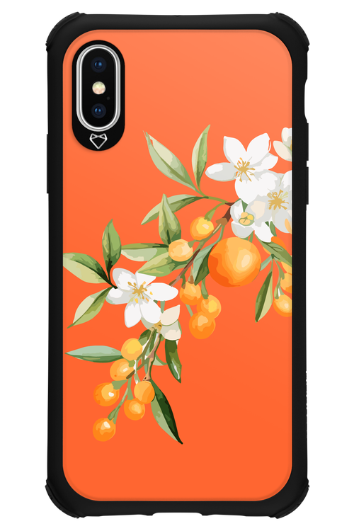 Amalfi Oranges - Apple iPhone XS