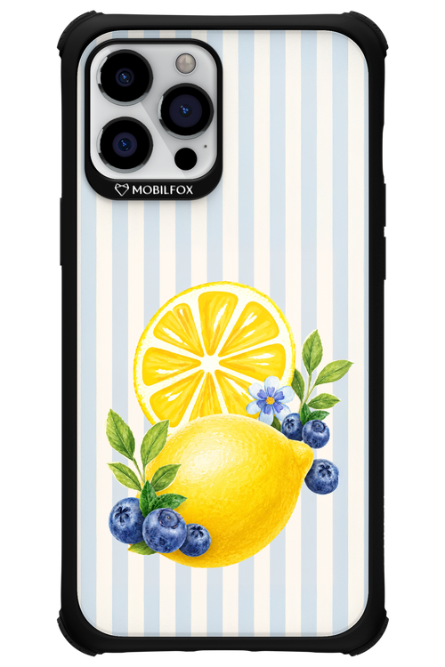 Fresh Flash 2.0 - Apple iPhone 12 Pro Max