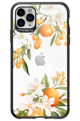 Amalfi Orange 2.0 - Apple iPhone 11 Pro Max