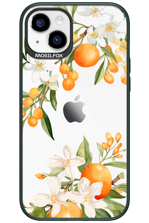 Amalfi Orange 2.0 - Apple iPhone 15 Plus