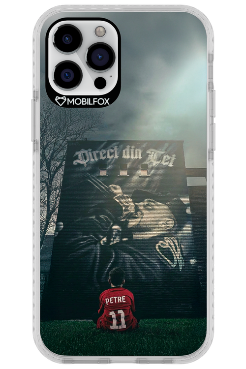 Direct Din Tei Artwork 2.0 - Apple iPhone 12 Pro