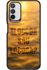 S or L - Samsung Galaxy A04s