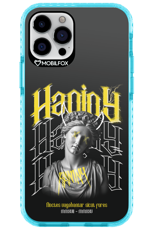 Haniny Icon (black) - Apple iPhone 12 Pro