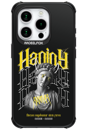 Haniny Icon (black) - Apple iPhone 15 Pro