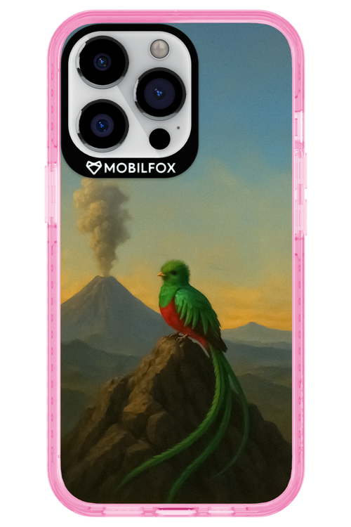 Birdy 2.0 - Apple iPhone 13 Pro