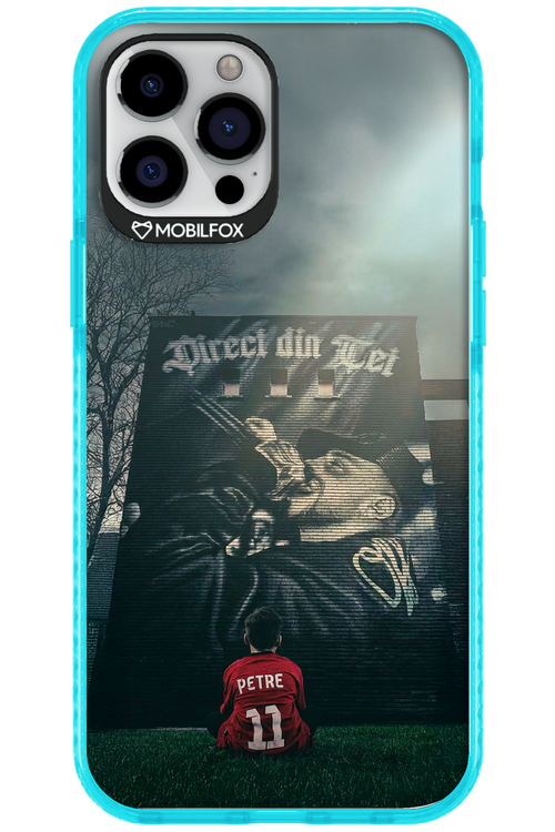 Direct Din Tei Artwork 2.0 - Apple iPhone 12 Pro Max