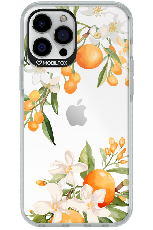 Amalfi Orange 2.0 - Apple iPhone 12 Pro Max