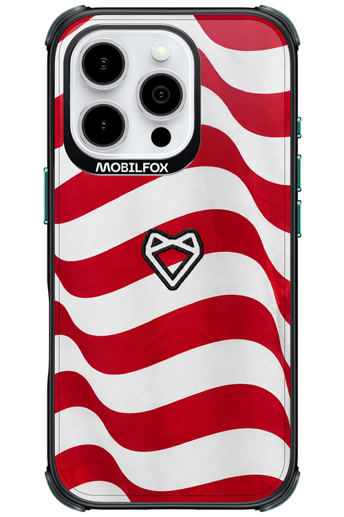USA 2.0 - Apple iPhone 16 Pro
