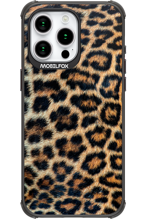 Leopard 2.0 - Apple iPhone 15 Pro Max