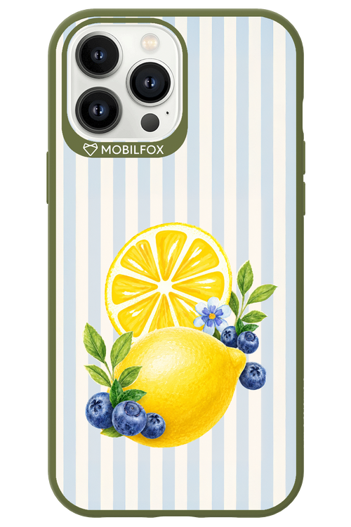 Fresh Flash 2.0 - Apple iPhone 13 Pro Max