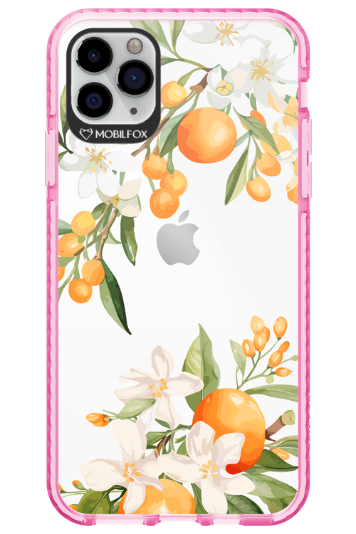 Amalfi Orange 2.0 - Apple iPhone 11 Pro Max