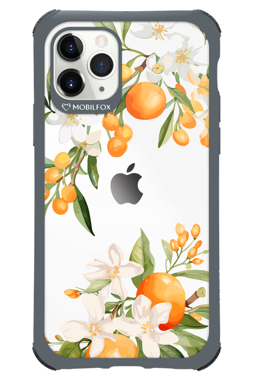 Amalfi Orange 2.0 - Apple iPhone 11 Pro