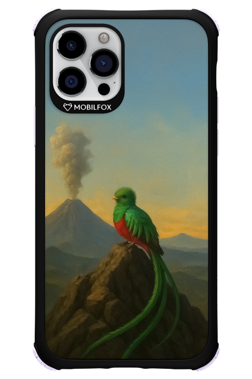 Birdy 2.0 - Apple iPhone 12 Pro
