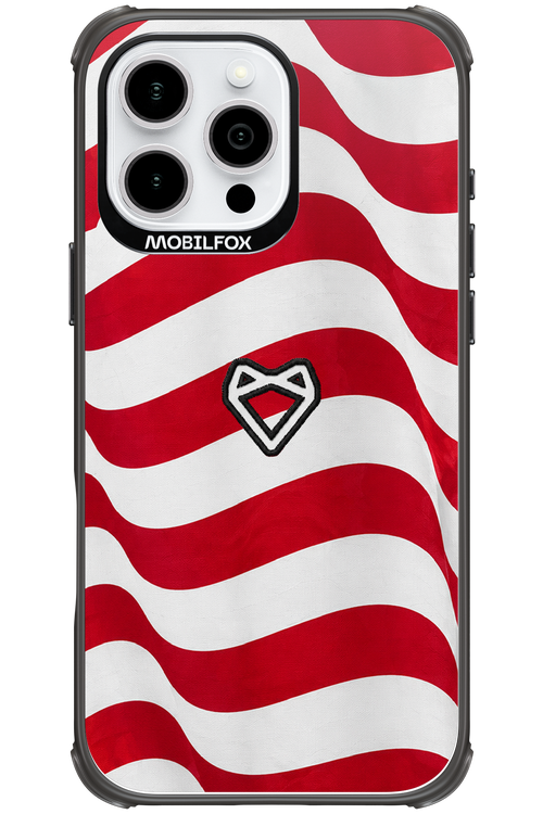 USA 2.0 - Apple iPhone 16 Pro Max