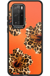 Sun Purr 2.0 - Huawei P40 Pro