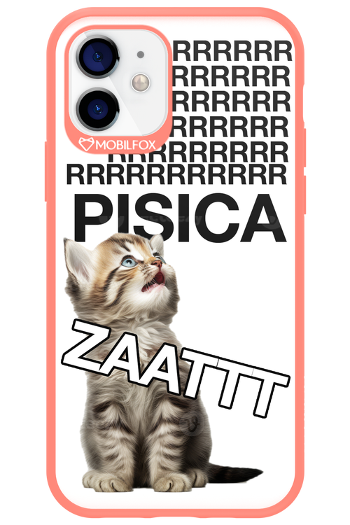 Pisica ztt - Apple iPhone 12