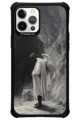 INGER Cover 2.0 - Apple iPhone 12 Pro Max