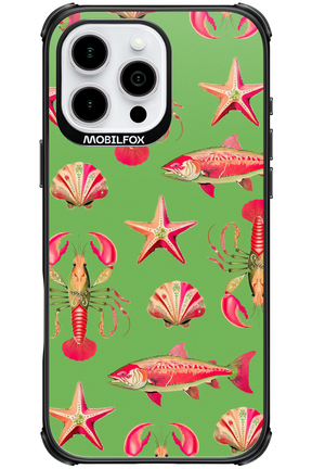 Sea Stars - Apple iPhone 16 Pro Max