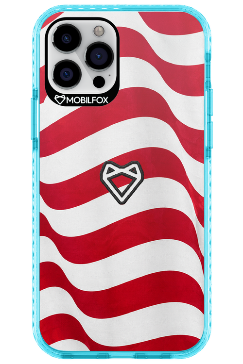 USA 2.0 - Apple iPhone 12 Pro