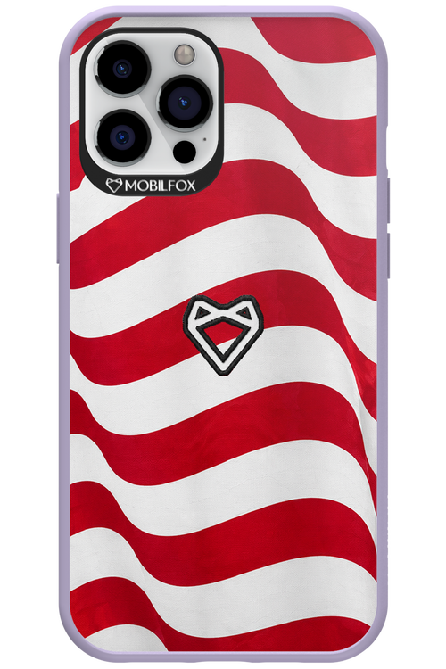 USA 2.0 - Apple iPhone 12 Pro Max