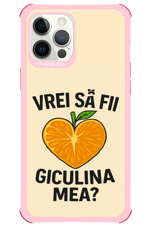 Design Clean 2.0 - Apple iPhone 12 Pro Max