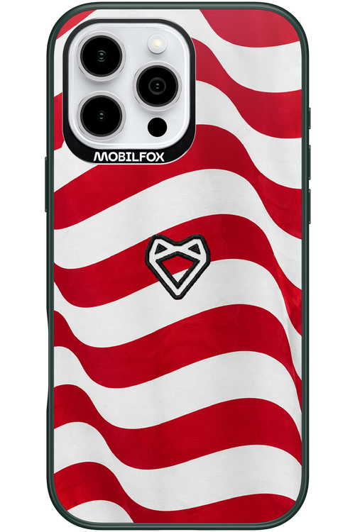 USA 2.0 - Apple iPhone 16 Pro Max