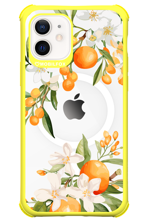 Amalfi Orange 2.0 - Apple iPhone 12