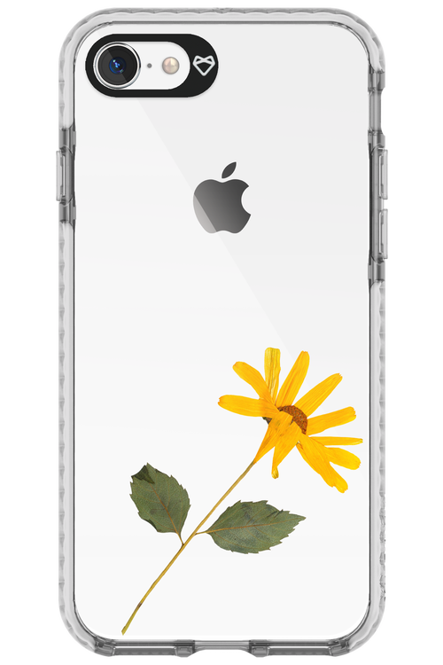 Pressed Flower - Apple iPhone 8