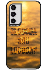 S or L - Samsung Galaxy S23 FE