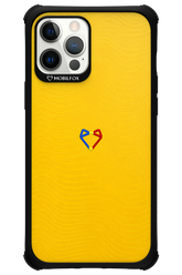 Romania 2.0 - Apple iPhone 12 Pro Max