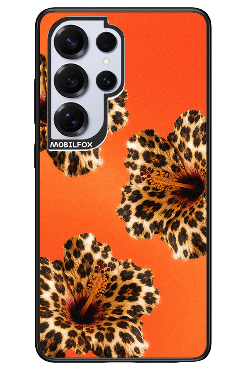 Sun Purr 2.0 - Samsung S25 Ultra