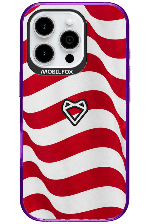 USA 2.0 - Apple iPhone 16 Pro