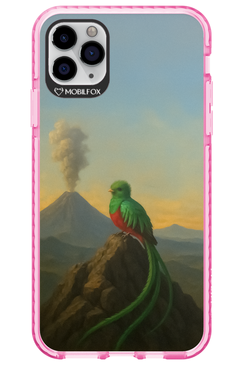 Birdy 2.0 - Apple iPhone 11 Pro Max