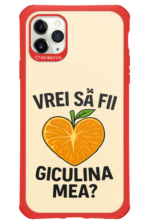 Design Clean 2.0 - Apple iPhone 11 Pro Max