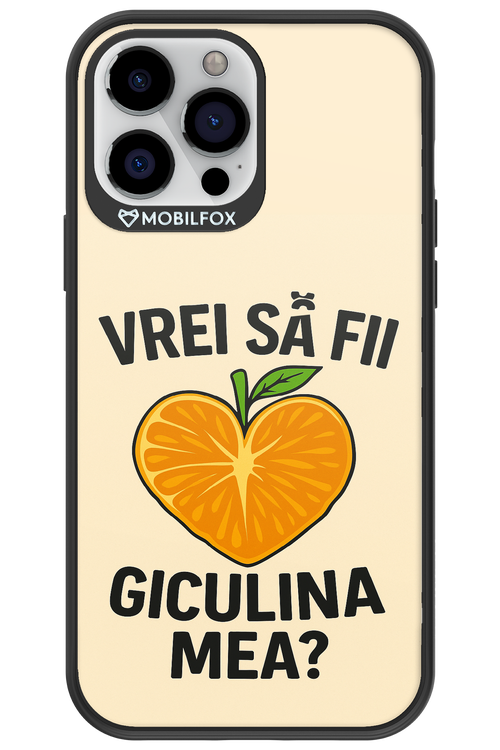 Design Clean 2.0 - Apple iPhone 13 Pro Max