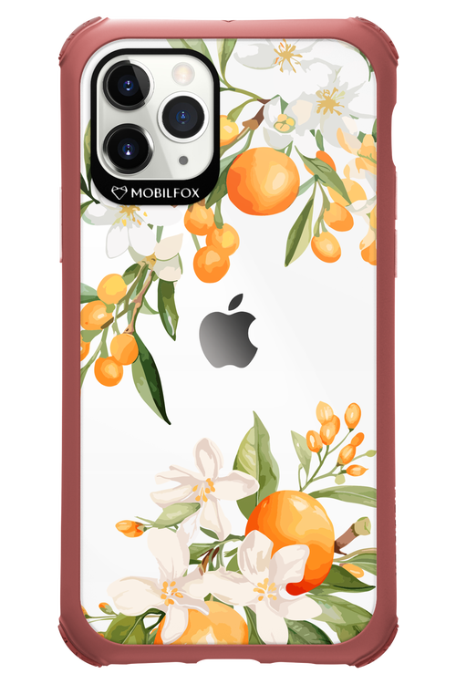 Amalfi Orange 2.0 - Apple iPhone 11 Pro