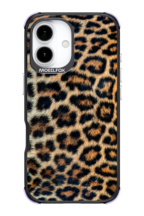 Leopard 2.0 - Apple iPhone 17