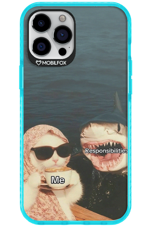 Responsibilities - Apple iPhone 12 Pro Max
