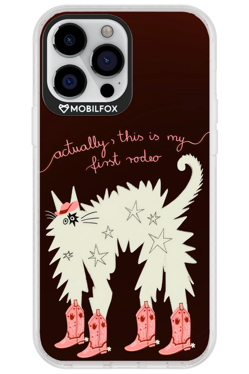 First rodeo 2.0 - Apple iPhone 13 Pro Max