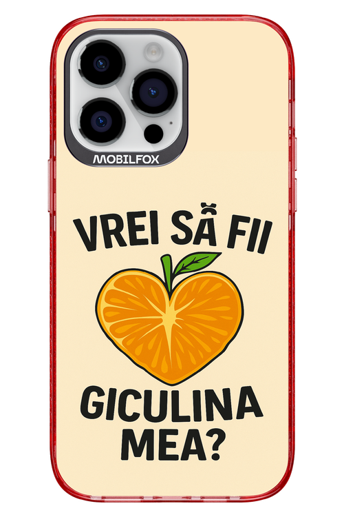 Design Clean 2.0 - Apple iPhone 14 Pro Max
